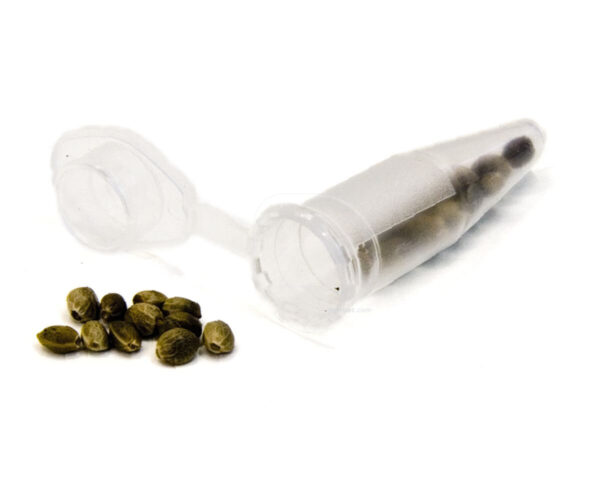 Tubo eppendorf pequeño (0,5 ml)